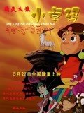 精灵女孩小卓玛